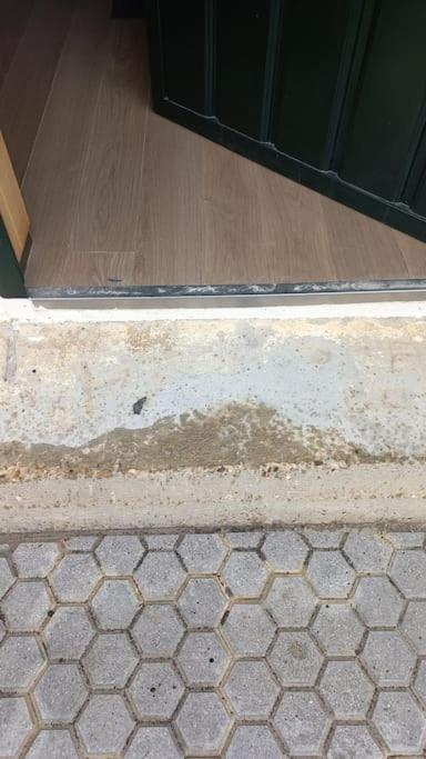 Loft Acogedor Lejlighed Sevilla Eksteriør billede